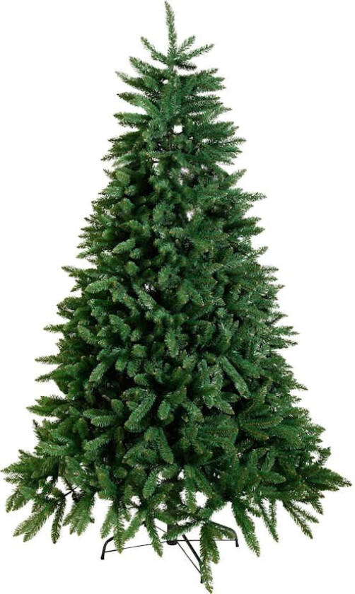 Juletre Star Trading Calgary