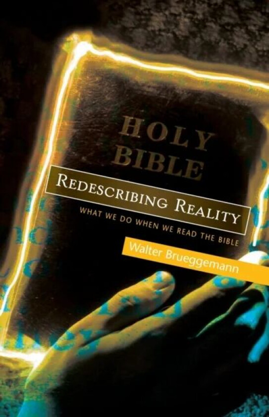 Redescribing Reality av Walter Brueggemann