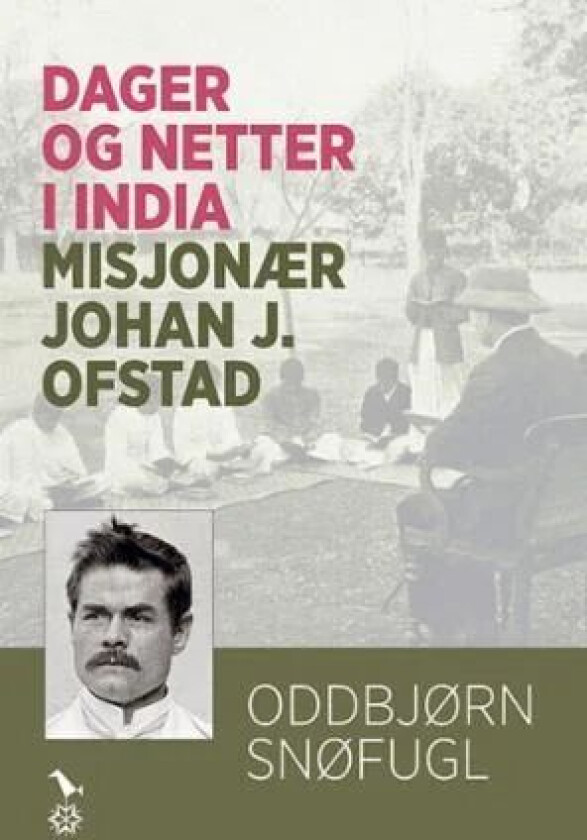 Dager og netter i India av Oddbjørn Snøfugl