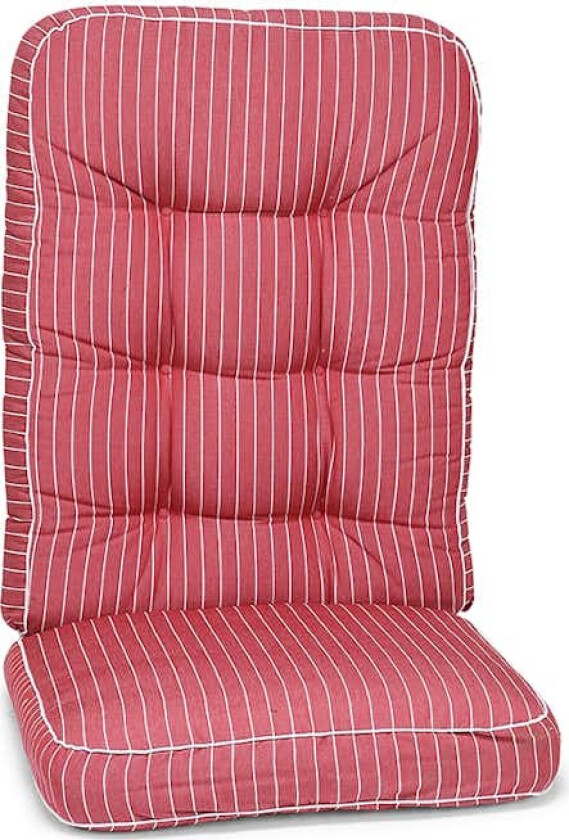 Pute Hillerstorp Texas Høy