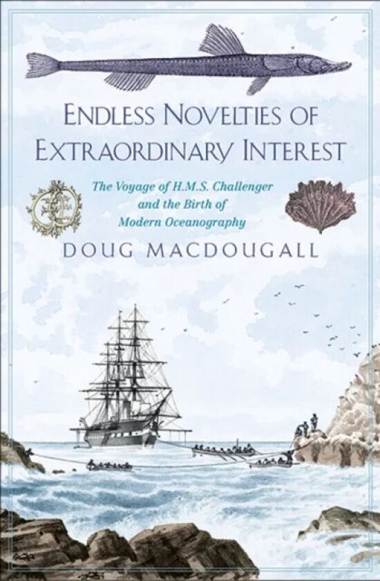 Endless Novelties of Extraordinary Interest av Doug Macdougall