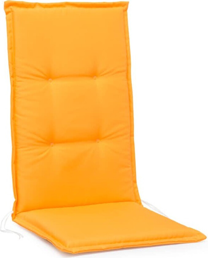 Pute Hillerstorp Monza 545