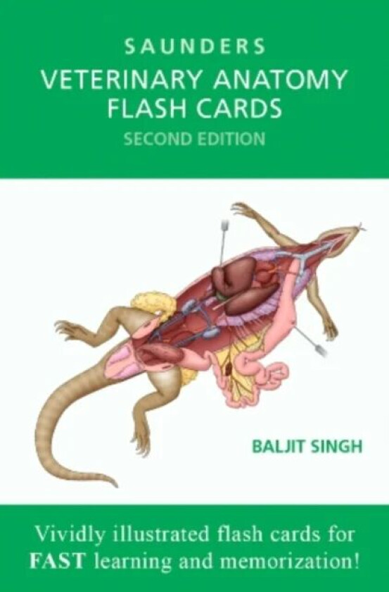 Veterinary Anatomy Flash Cards av Baljit (Dean and Professor Faculty of Veterinary Medicine at University of Calgary) Singh