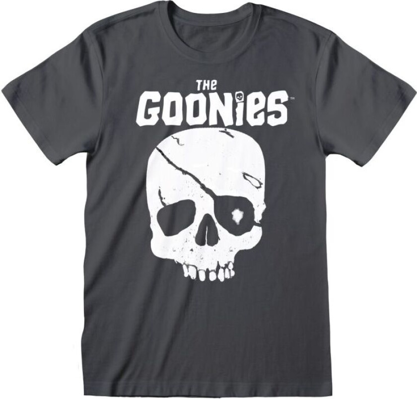 T-skjorte - Skull - S til XXL - Herrer - grå