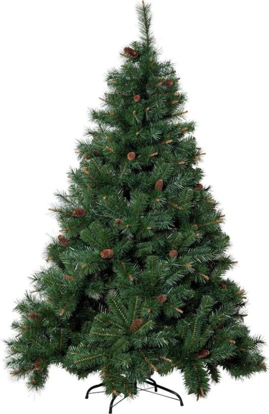 Juletre Star Trading Toronto 180 cm