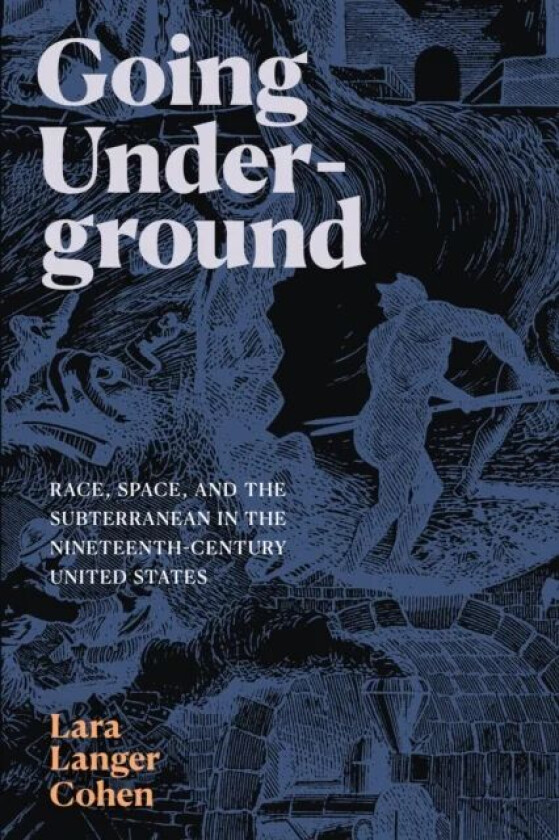 Going Underground av Lara Langer Cohen