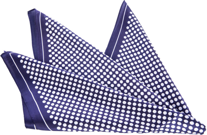 Reykjavik Scarf Navy One Size Printed silk scarf