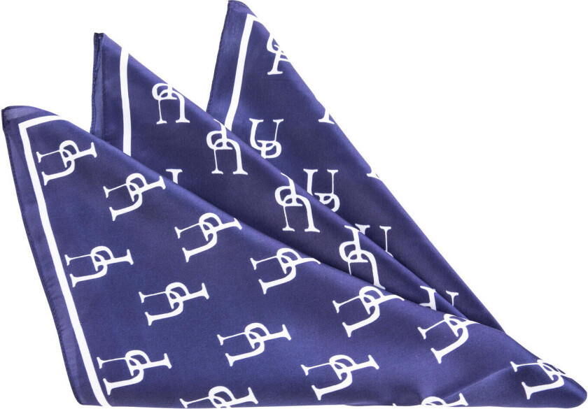 Kristiansand Scarf Navy One Size Printed silk scarf