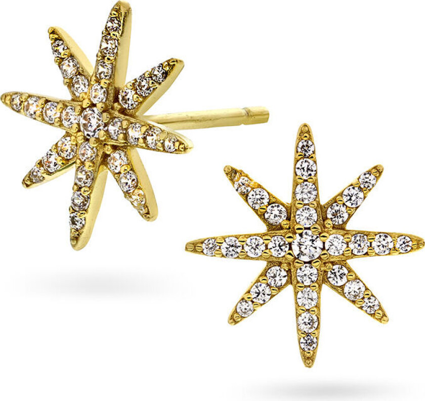 , Øredobber i forgylt sølv med zirkonia