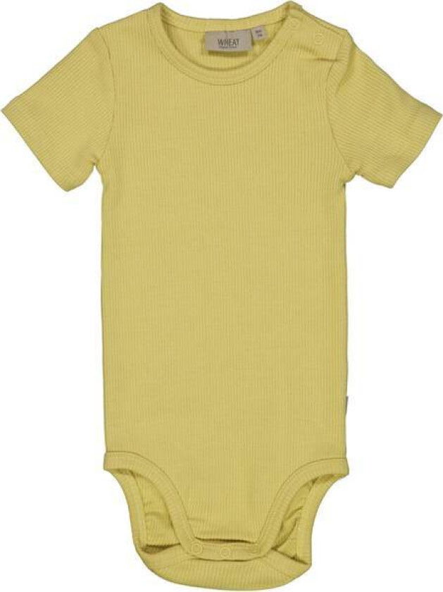 Rib Body Plain Ss Moonstone