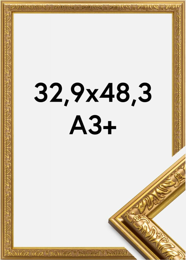 Ramme Nostalgia Akrylglass Gull 32,9x48,3 Cm (A3+)