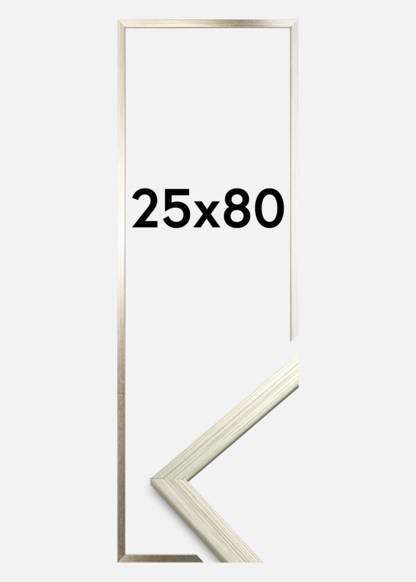 Ramme Edsbyn Akrylglass Sølv 25x80 Cm