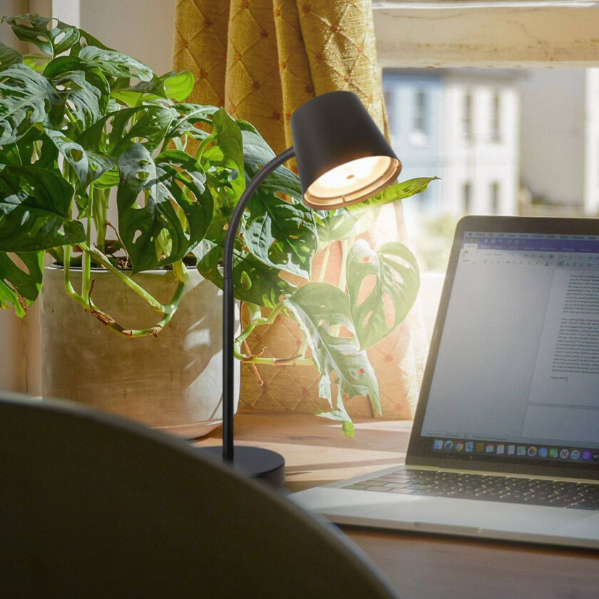 Biwo LED-bordlampe, svart, berøringsdimmer, metall