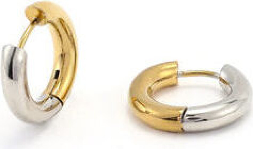 Lyn - Gold And Silver Duo Hoop Earrings Stainless - Gold One Size