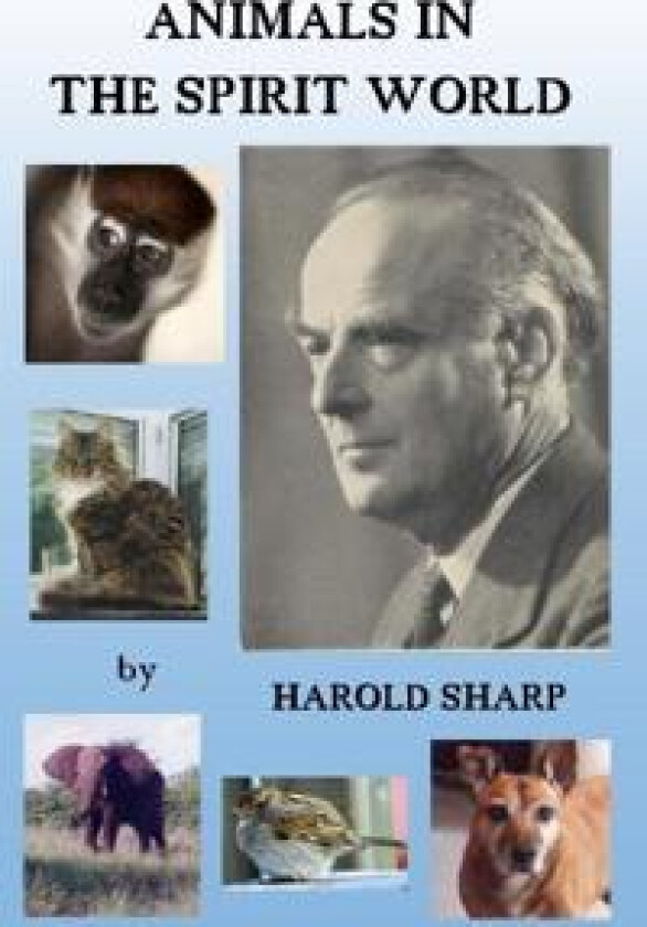 Animals in the Spirit World