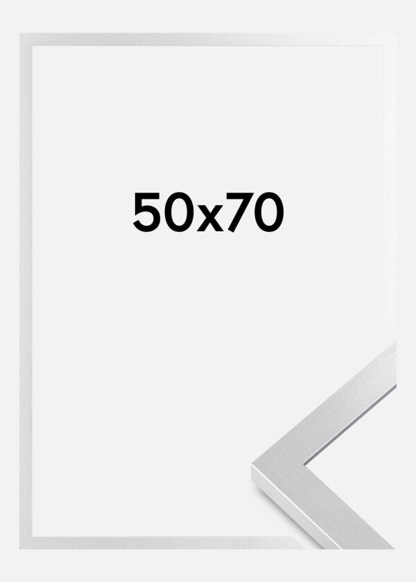 Ramme Selection Akrylglass Sølv 50x70 Cm