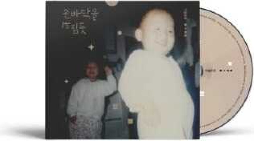 Lee Solomon Like Flipping The Palm Of Your Hand CD