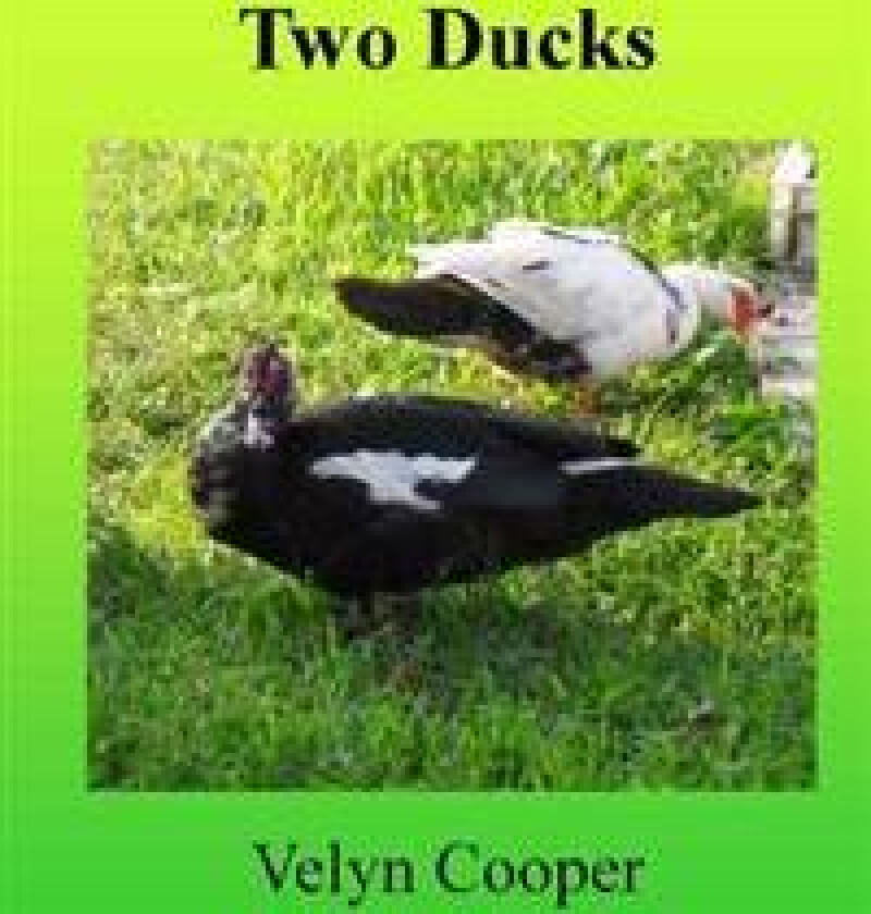 Two Ducks