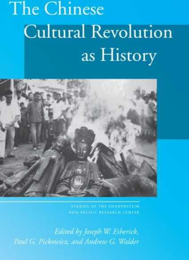 The Chinese Cultural Revolution as History
