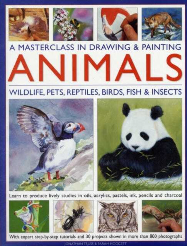 Masterclass in Drawing & Painting Animals