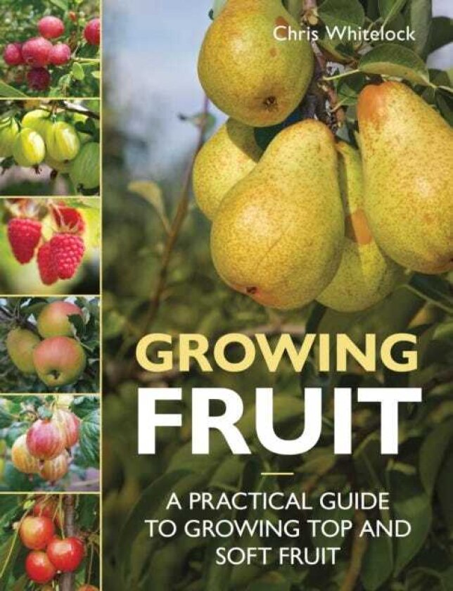 Growing Fruit A Practical Guide to Growing Top and Soft Fruit