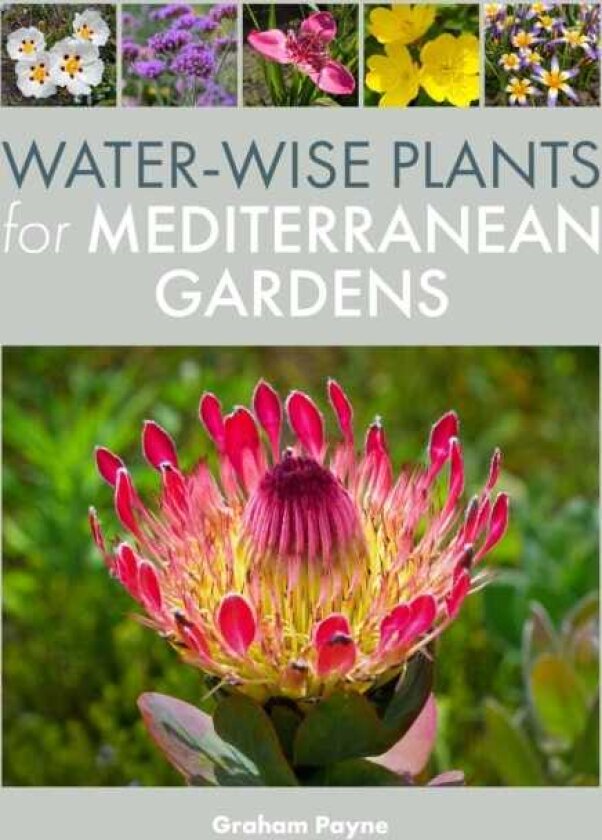 WaterWise Plants for Mediterranean Gardens