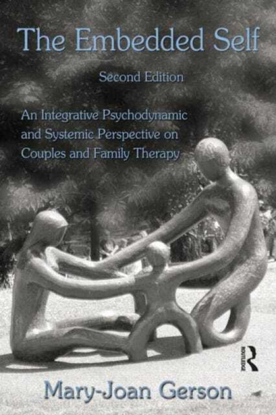 The Embedded Self An Integrative Psychodynamic and Systemic Perspective on Couples and Family Therapy