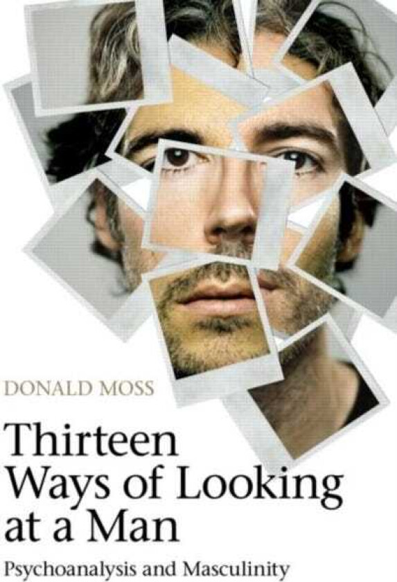 Thirteen Ways of Looking at a Man Psychoanalysis and Masculinity