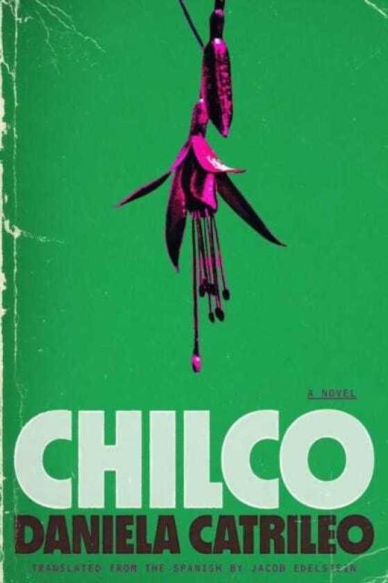 Chilco A Novel