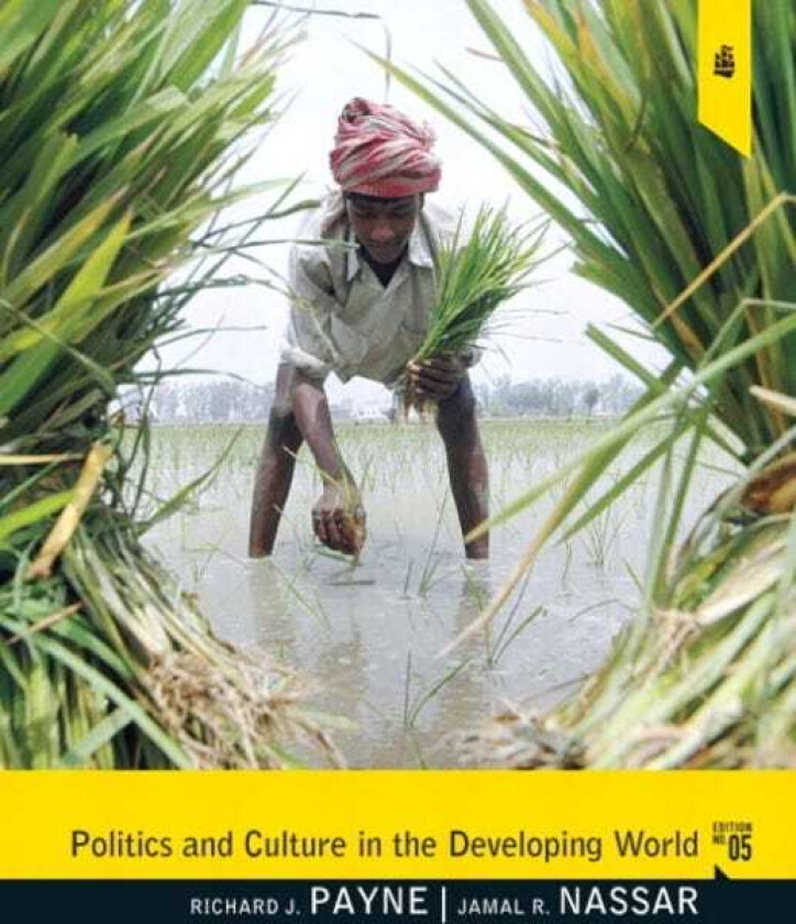 Politics and Culture in the Developing World