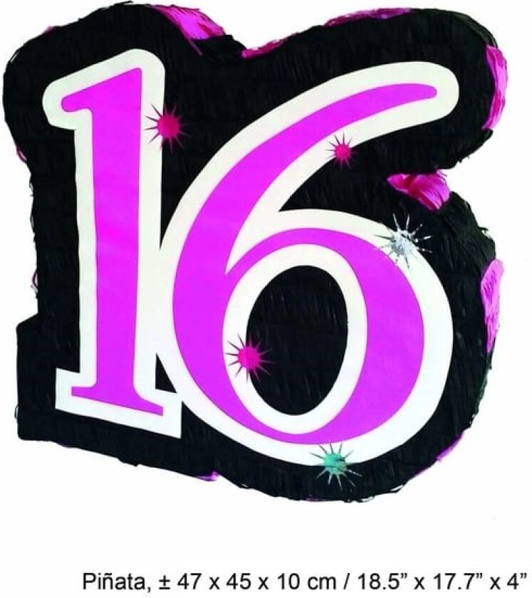 Pinata 16 År