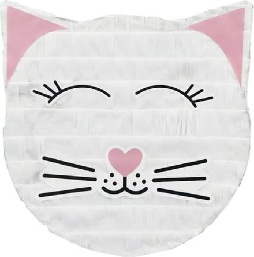 Kattehoved Pinata