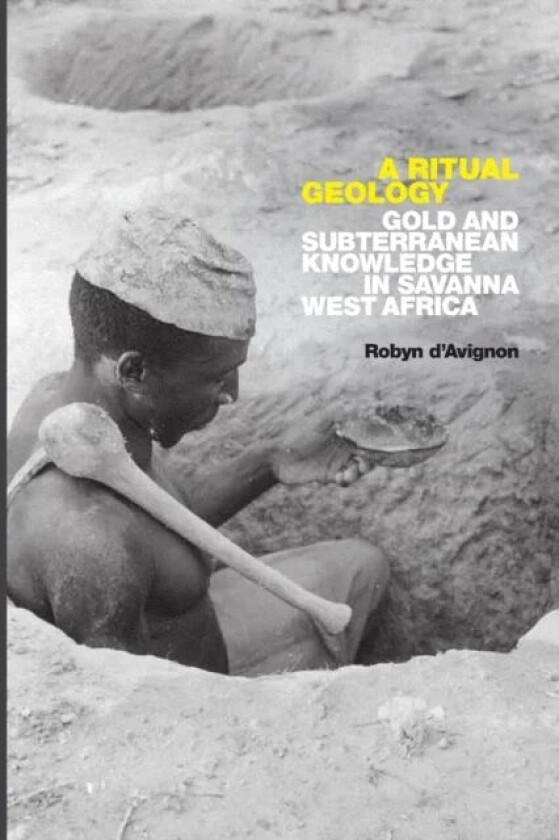 A Ritual Geology av Robyn d'Avignon