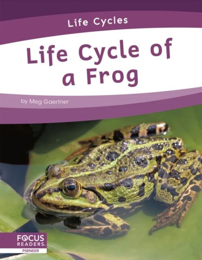 Life Cycles: Life Cycle of a Frog av Meg Gaertner