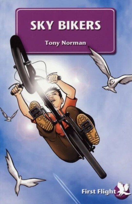 Sky Bikers av Tony Norman