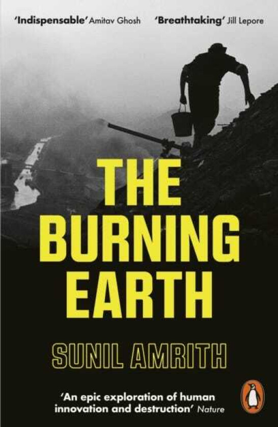 The Burning Earth An Environmental History of the Last 500 Years