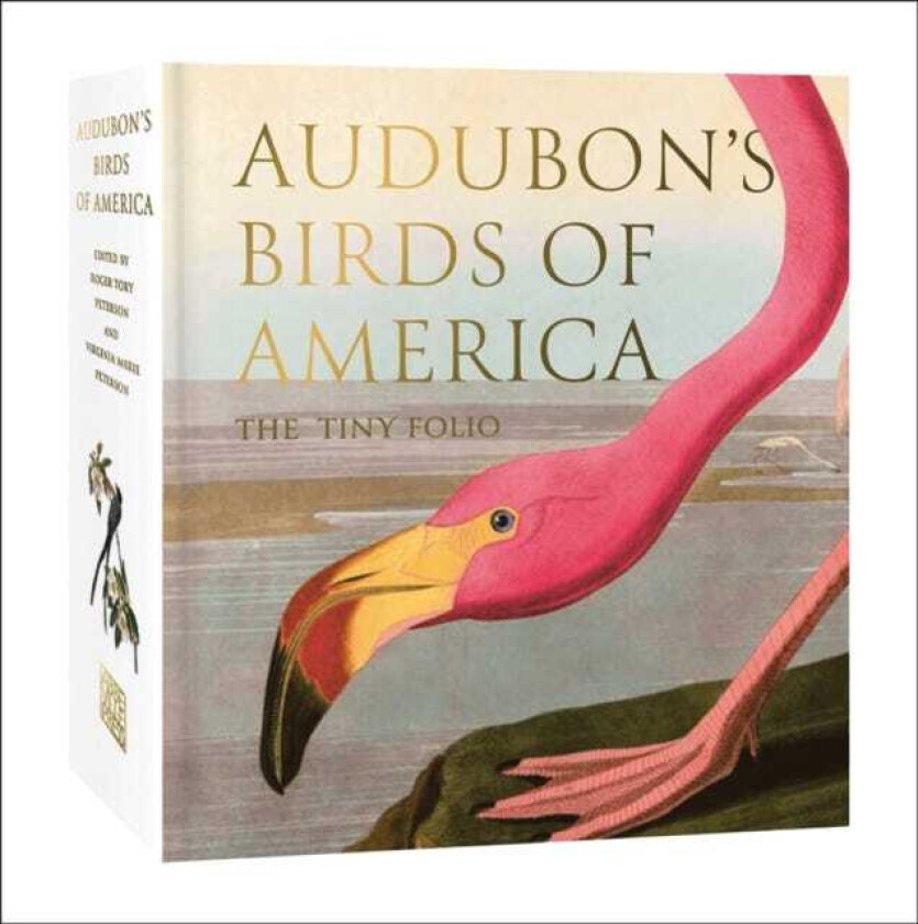 Audubon's Birds of America  The Tiny Folio