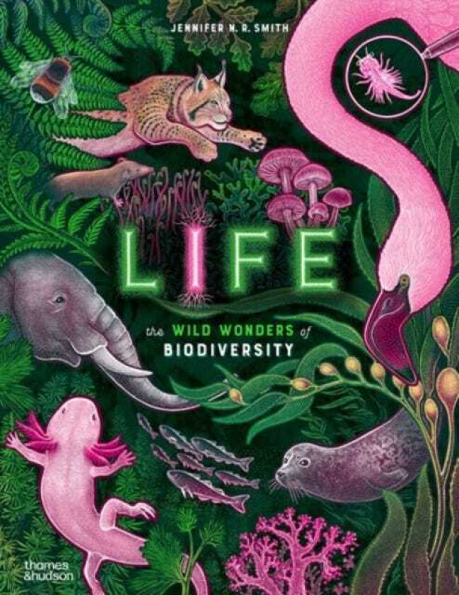 Life The wild wonders of biodiversity