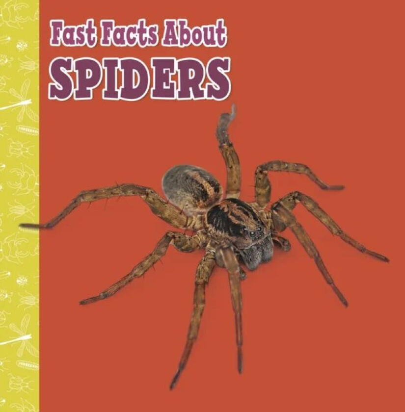 Fast Facts About Spiders av Julia Garstecki-Derkovitz