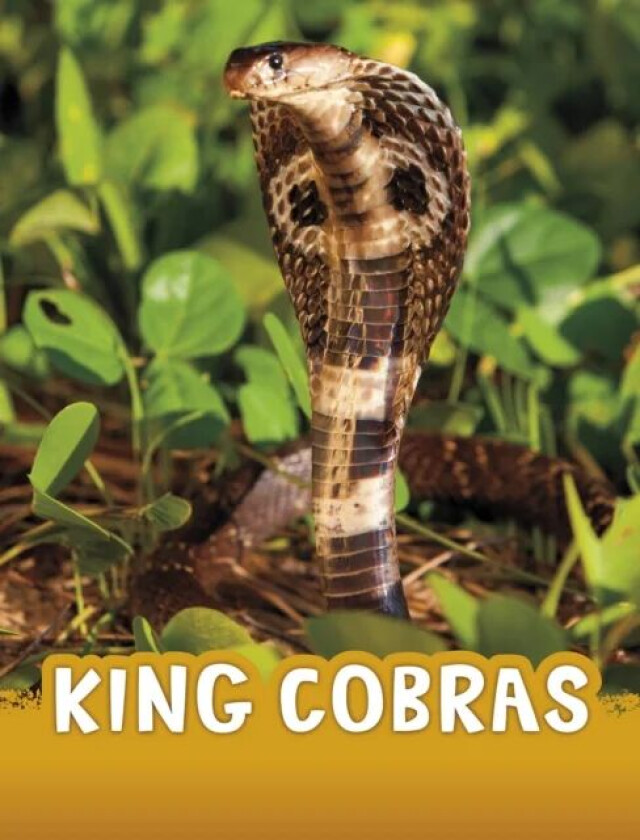 King Cobras av Jaclyn Jaycox