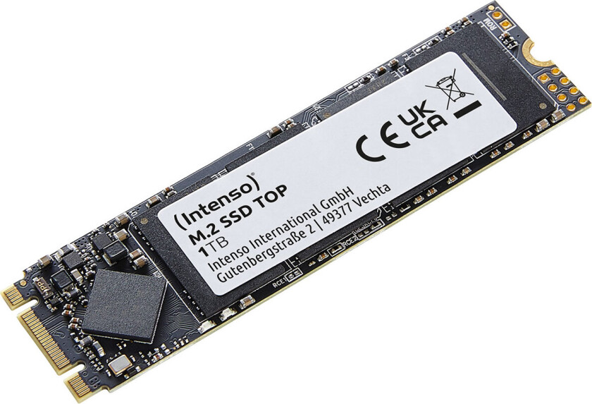 TOP SSD Harddisk 1TB - M.2 2280 (SATA-600)