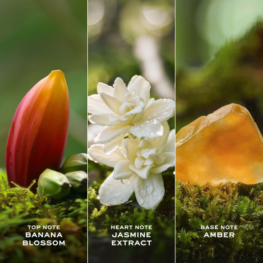 Daisy Wild Intense Eau de Parfum - 150 ml