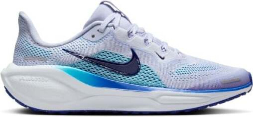 Air Zoom Pegasus 41