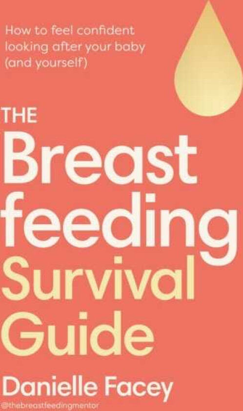 The Breastfeeding Survival Guide How to feel confident looking after your baby (and yourself)
