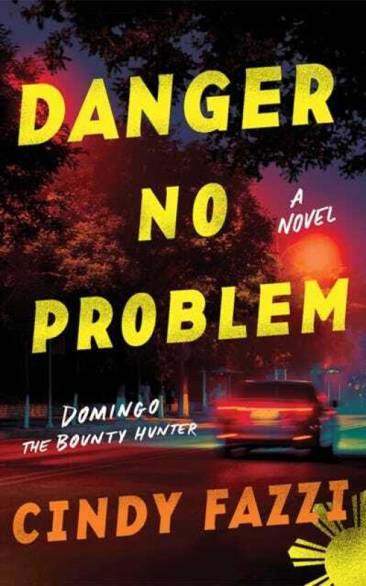 Danger No Problem  A Novel