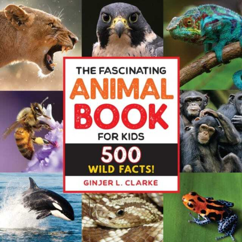 The Fascinating Animal Book for Kids 500 Wild Facts!