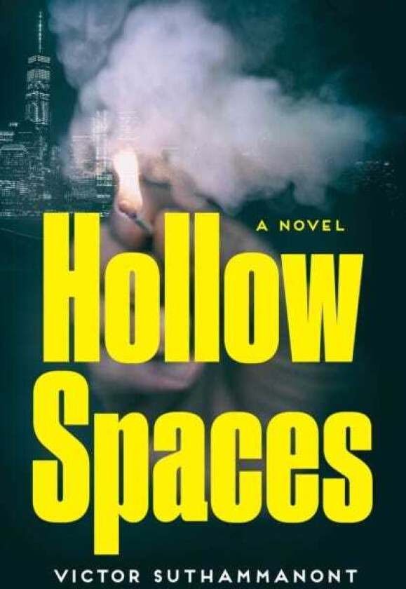 Hollow Spaces A Novel