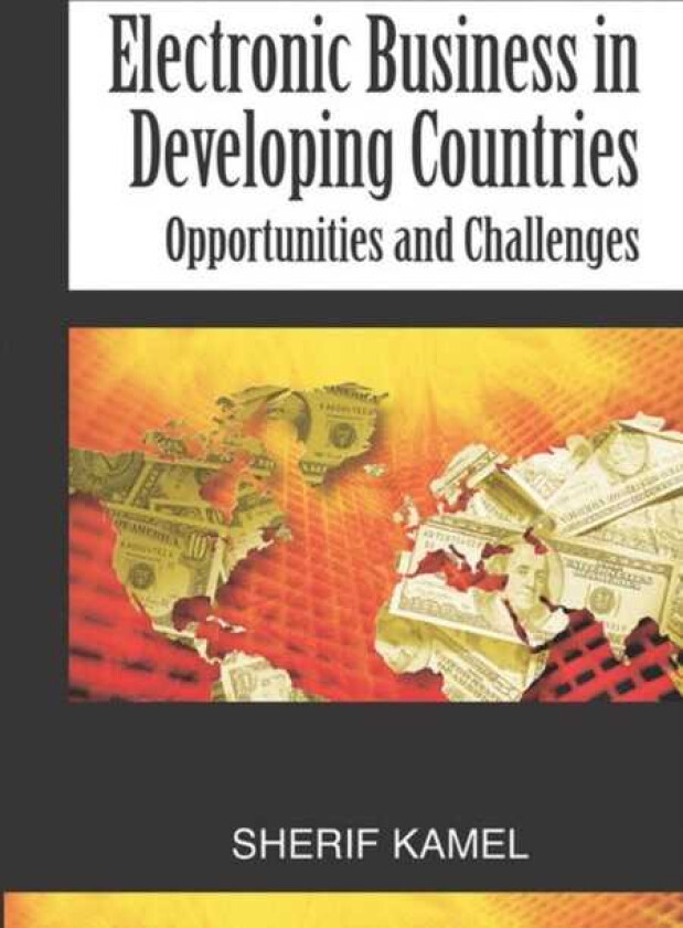Electronic Business in Developing Countries Opportunities and Challenges