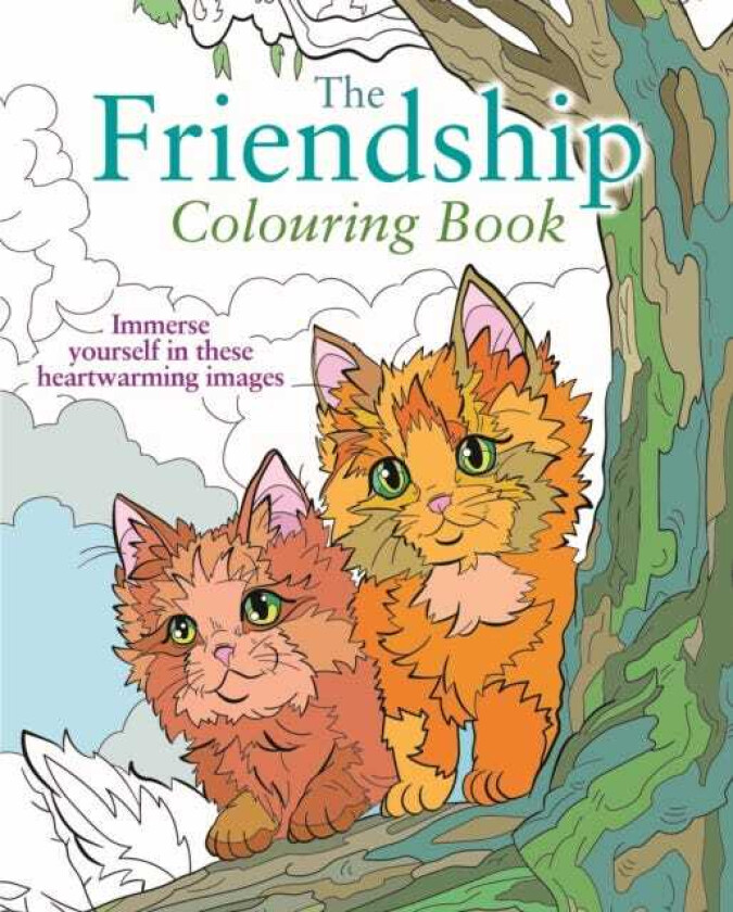 The Friendship Colouring Book Immerse yourself in these heartwarming images
