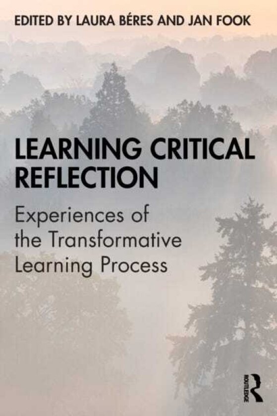 Learning Critical Reflection Experiences of the Transformative Learning Process